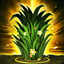 Ivern kiến tạo bụi