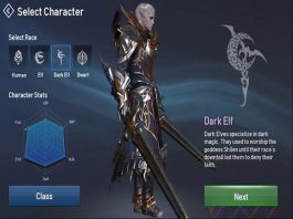 Hắc tiên Dark Elf L2R