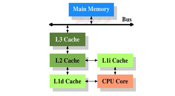 Bộ nhớ đệm CPU GPU