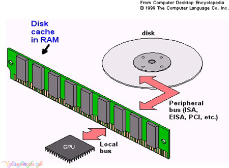 Bộ nhớ đệm Disk Cache