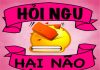 Download Hỏi Ngu Hại Não