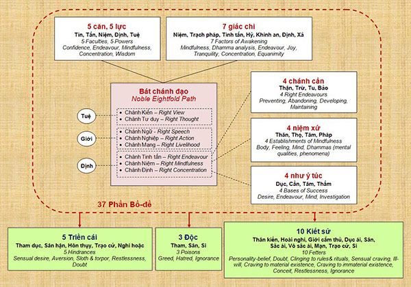 37-pham-tro-dao-gom-nhung-gi