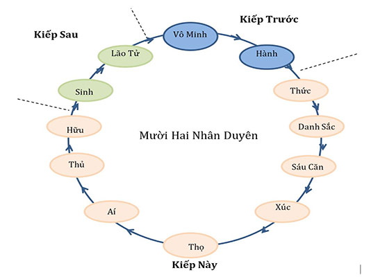 thap-nhi-nhan-duyen-trong-phat-giao