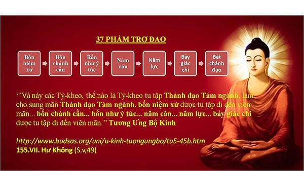 tom-tat-37-pham-tro-dao