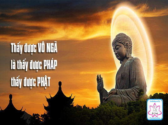 vo-nga-trong-phat-giao-la-gi