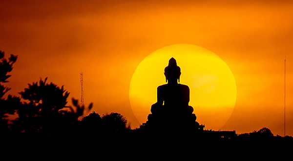 chanh-kien-la-gi