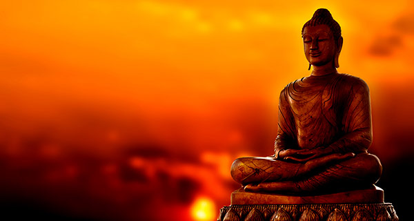 chanh-kien-trong-doi-song