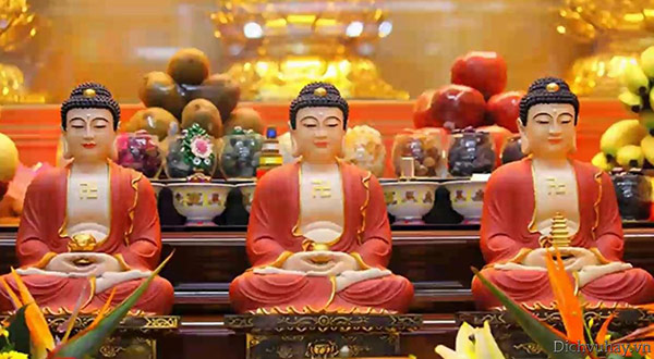 loi-ich-quy-y-tam-bao-tai-gia