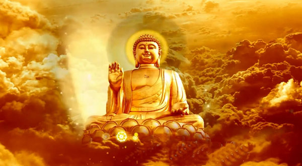 luan-hoi-la-gi-luc-dao-luan-hoi-sau-coi-01