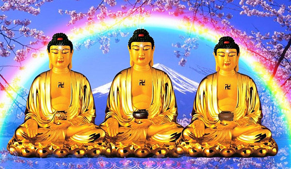 luan-hoi-la-gi-luc-dao-luan-hoi-sau-coi-04