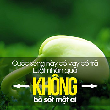 nhan-qua-va-luat-nhan-qua-trong-dao-phat-01