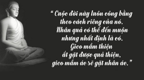 nhan-qua-va-luat-nhan-qua-trong-dao-phat-02