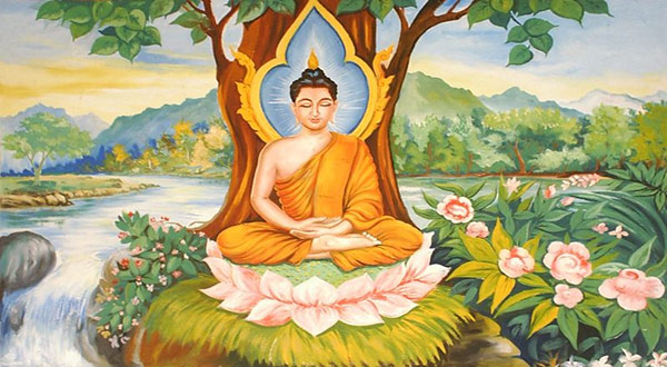 tu-nhu-y-tuc-la-gi-01