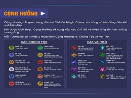 Vai trò, chủng tộc trong Magic Chess