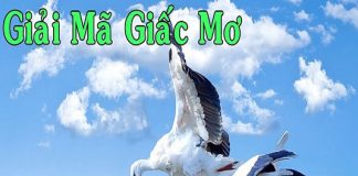 Lô đề giải mã giấc mơ – chìa khóa giúp người chơi thắng đậm