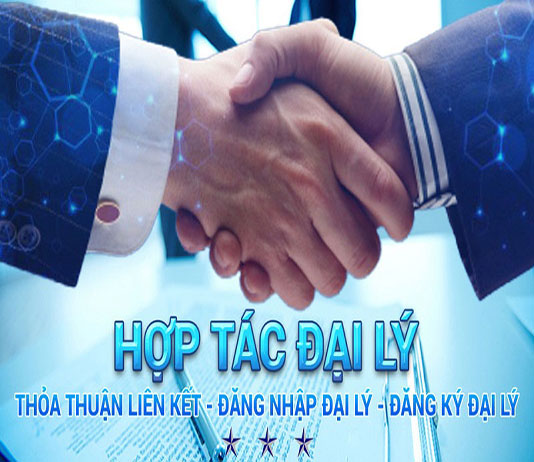 huong-dan-dang-ky-dai-ly-nha-cai-don-gian-cho-nguoi-moi