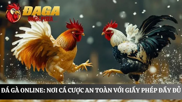 Top bí quyết giúp bạn trở thành cao thủ đá gà trên daga 3