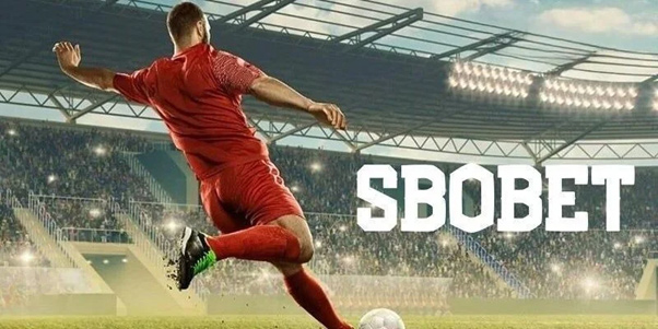 Giải mã cuộc chơi thể thao sbobet 1